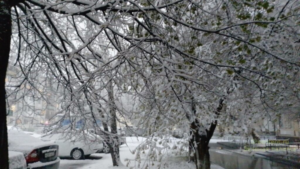 снег май тюмень 2024 Тюменская область Тюменский двор